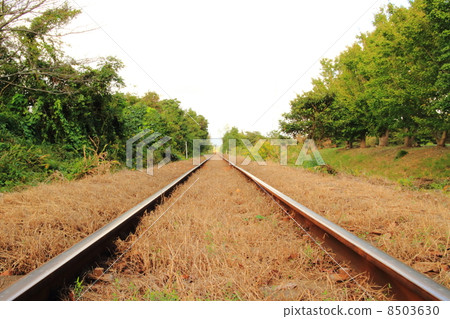 Line of Tenhama Line 8503630