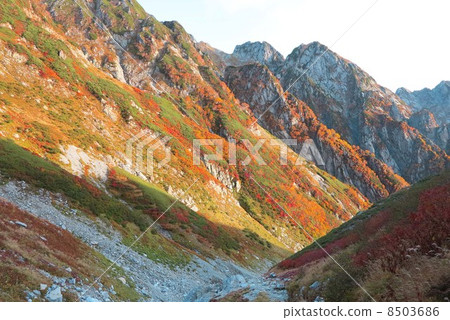 Jinzawa秋葉 8503686