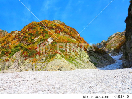 Yezawa Snow River and autumn leaves 8503730