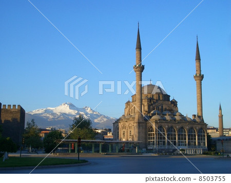Ur Jammy of Kayseri 8503755