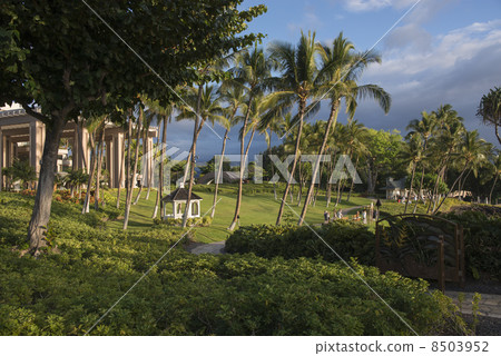 Hilton Waikoloa Hotel 8503952