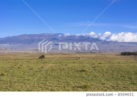 Mauna Kea山在夏威夷海島上的 Mauna Kea山在夏威夷海島上的 8504031