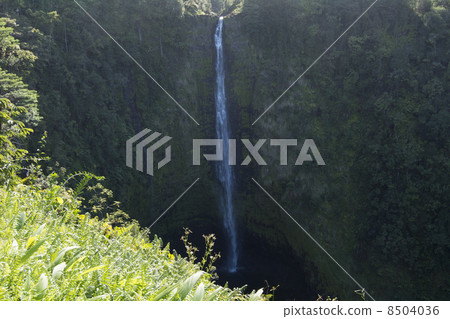 阿卡卡瀑佈在夏威夷島上 阿卡卡瀑佈在夏威夷島上 8504036