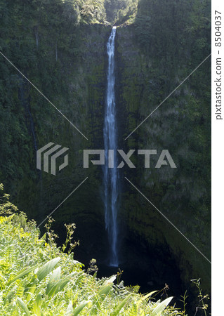 Akaka Falls on the Island of Hawaii 8504037