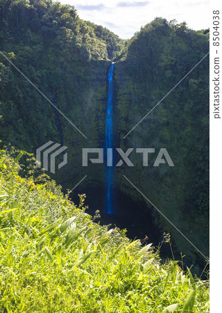 Akaka Falls on the Island of Hawaii 8504038