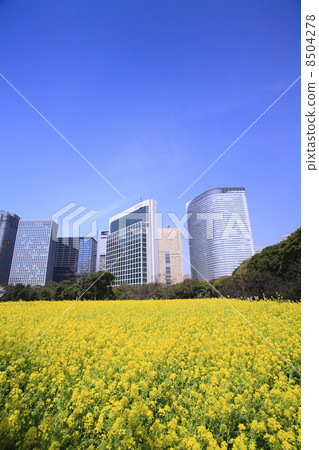 Tokyo Metropolitan City Oasis Spring Hamarikyū Imperial Garden 8504278