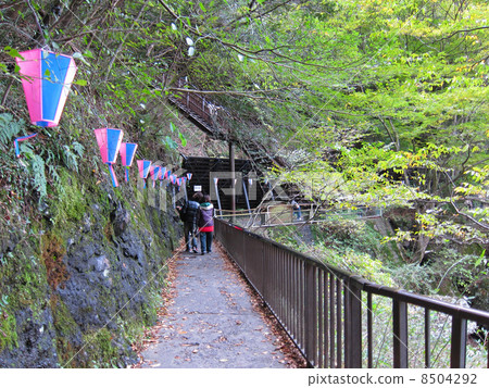 Fukuroda waterfall narrow downhill 8504292