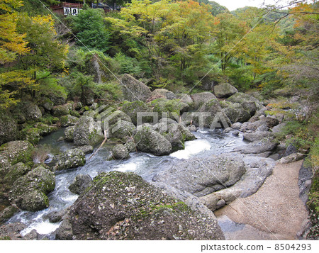 River, rock and driftwood Fukuroda Falls River, rock and driftwood Fukuroda Falls 8504293