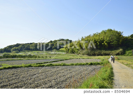 Road around the mountain 8504694