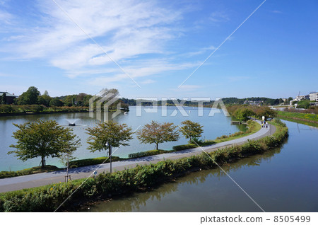 秋天從Senba Lake Senba Ohashi的頂部 8505499
