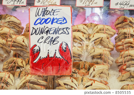 Dungeness Crab in Market 8505535