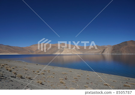 [印度]潘貢佐（潘貢湖） 8505787