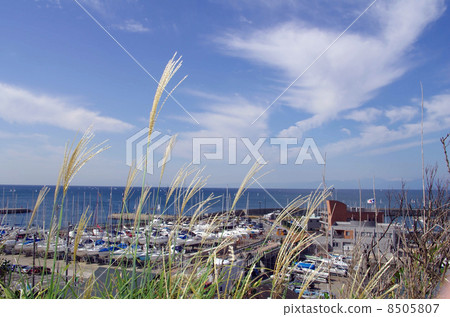 Hayama港口和Hayama小遊艇船塢,秋天風景 Hayama港口和Hayama小遊艇船塢,秋天風景 8505807