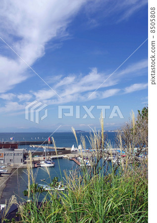 Hayama港口和Hayama小遊艇船塢，秋天風景 8505808