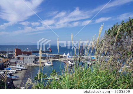 Hayama港口和Hayama小遊艇船塢，秋天風景 8505809