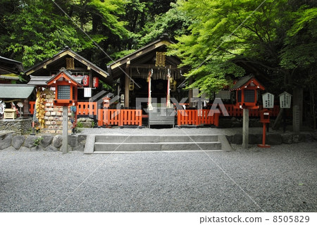 京都嵐山野宮的風景 8505829