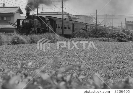 Oigawa Railway SL 8506405