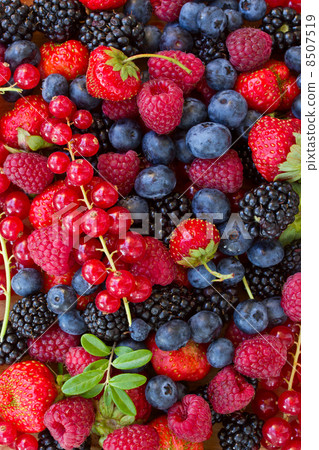 bluberry, raspberry, blackberry and red currrunt bluberry, raspberry, blackberry and red currrunt 8507519