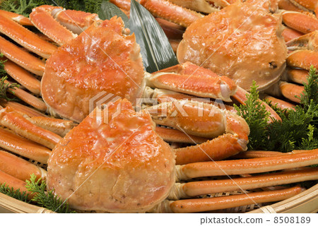 crab crab 8508189
