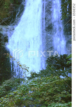 擁抱山谷22 8508352