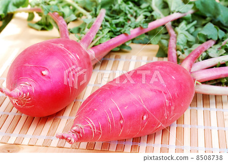 紅蘿蔔 紅蘿蔔 8508738