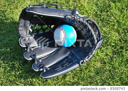 Left-handed glove 8508743