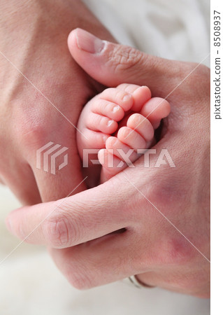 Baby's foot 8508937