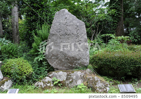 Basho's Phrase 8509495