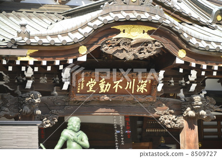 先生不可移動的先生 8509727