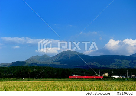 Mt. Aso in the back 8510692