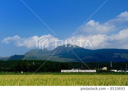 Mt. Aso in the back 8510693