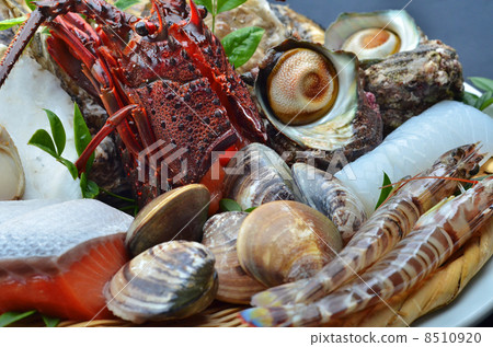 Fish and shellfish 8510920