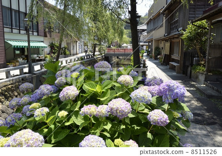 Perry Road Perry Road 8511526