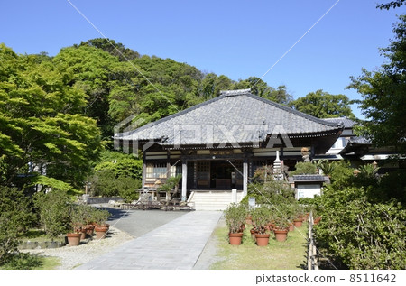 Perry Lord · Ryozenji 8511642