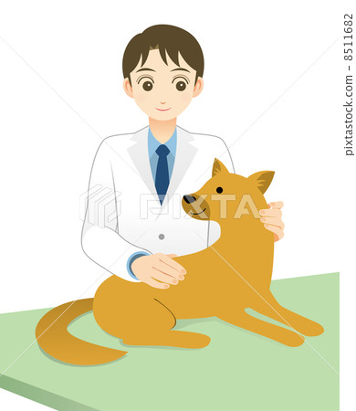 獸醫 獸醫 8511682
