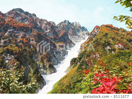 Miyoshi Windsuki of autumn leaves 8511877