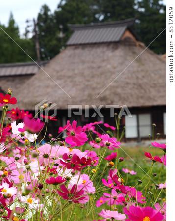 柏崎市的Seki no Sato 柏崎市的Seki no Sato 8512059