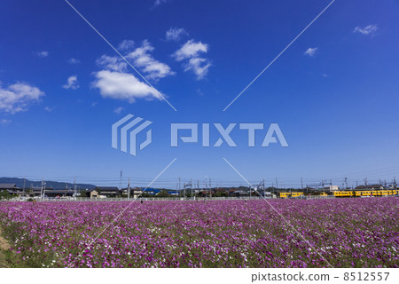  宇宙領域 8512557