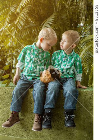 Adorable little twin brothers posing with cavy 8512559