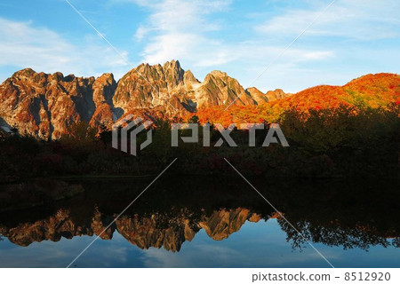 Autumn leaves Mt. 8512920