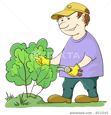 Gardener cuts a bush Gardener cuts a bush 8513141