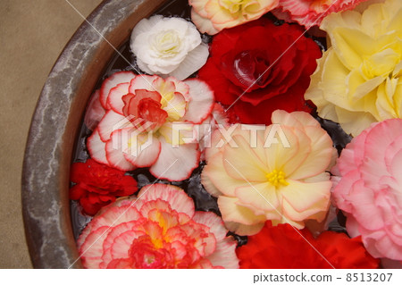 Flowers floating in water 2 8513207