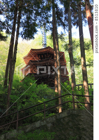 The oldest Zen temple in Shinshu Temple The oldest Zen temple in Shinshu Temple 8513810