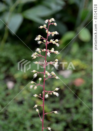 Hyukera Hyukera 8514328