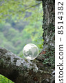Earth and Nature 8514382
