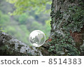 Earth and Nature 8514383