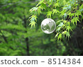 Earth and Nature 8514384