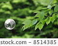 Earth and Nature 8514385