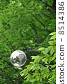 Earth and Nature 8514386