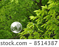 Earth and Nature 8514387
